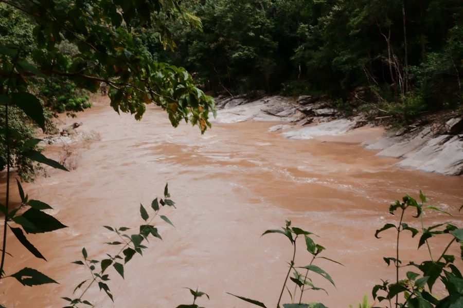 A river running brown with sediment