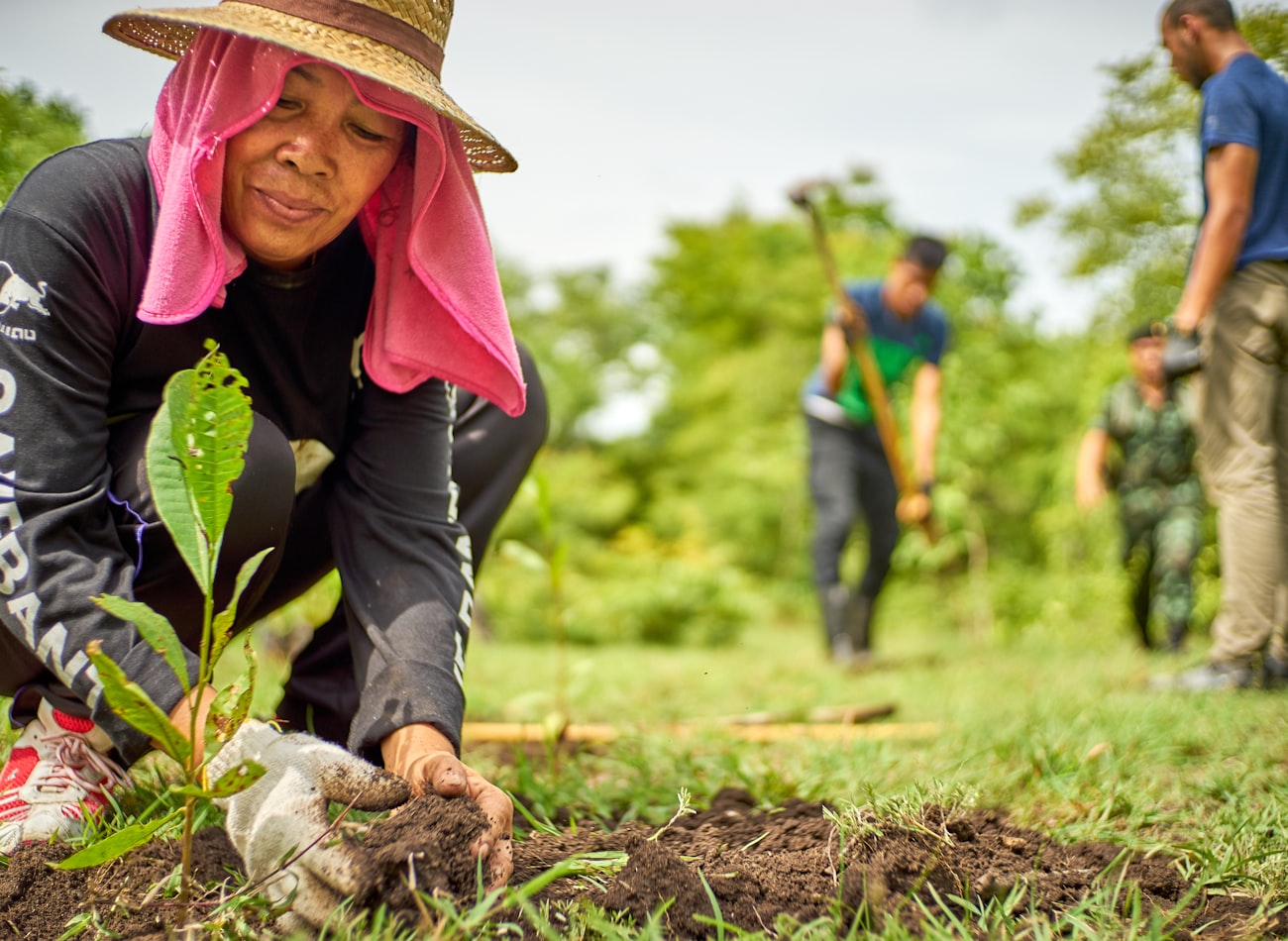 A woman planting a tree seedling with a team behind her