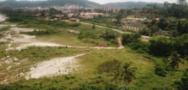 Survey team on a degraded river site