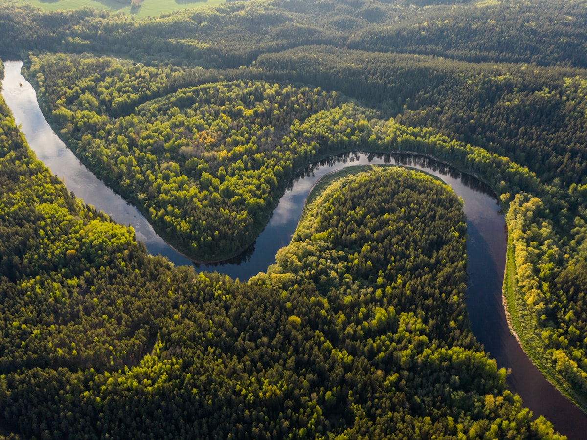 Aerial view of a pristine river winding through dense forest